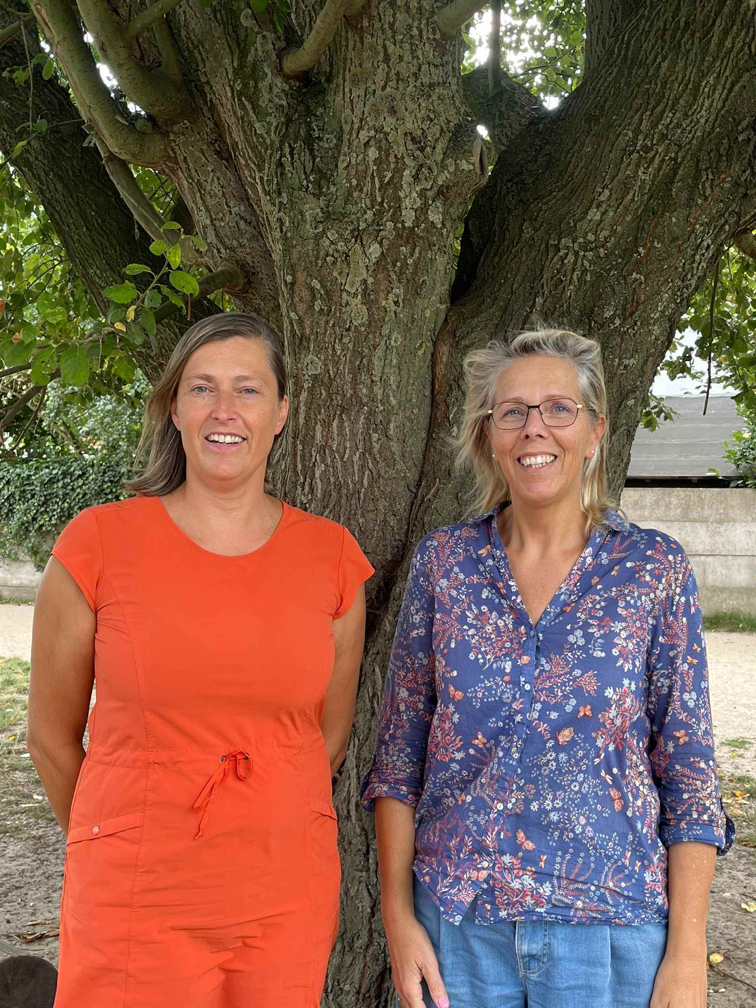 DIRECTIETEAM WOLKENZICHT KNESSELARE